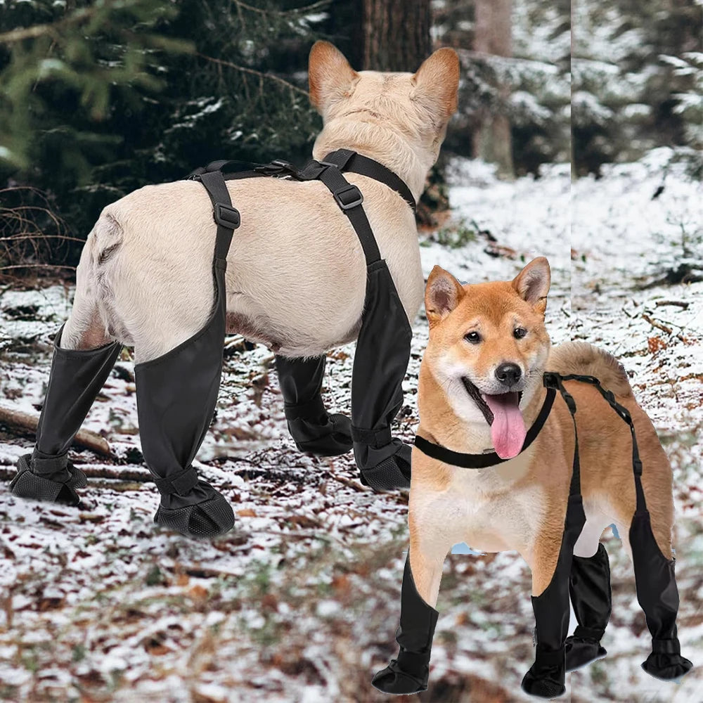 PawBoots – Schutzschuhe für kleine & große Hunde (4 Stück)
