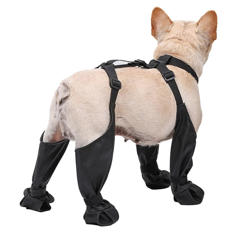 PawBoots – Schutzschuhe für kleine & große Hunde (4 Stück)