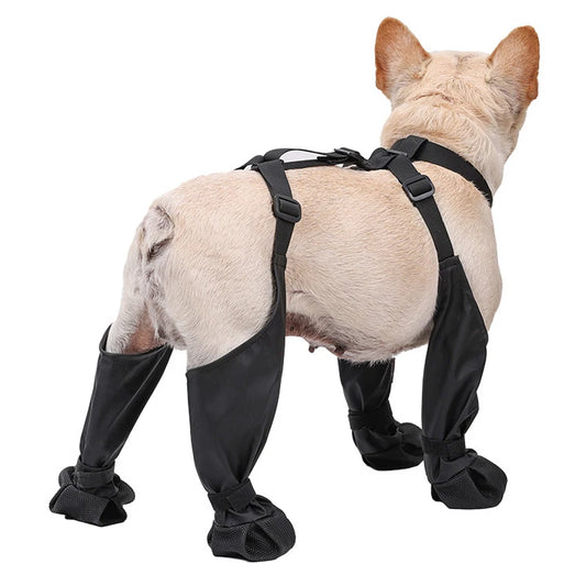 PawBoots – Schutzschuhe für kleine & große Hunde (4 Stück)